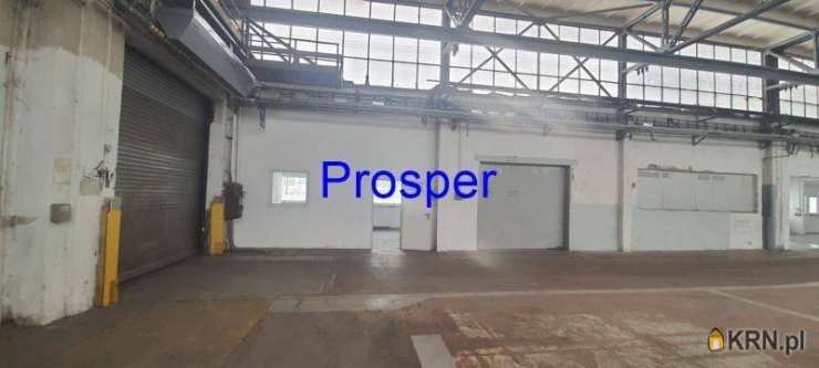 , Katowice, ul. , Lokal użytkowy  do wynajęcia