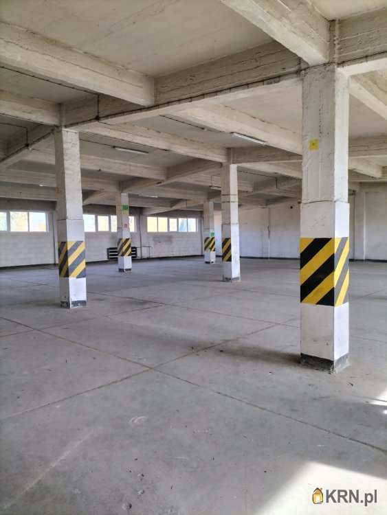 Lokal użytkowy  do wynajęcia, Sosnowiec, Pogoń, ul. Ptasia, 