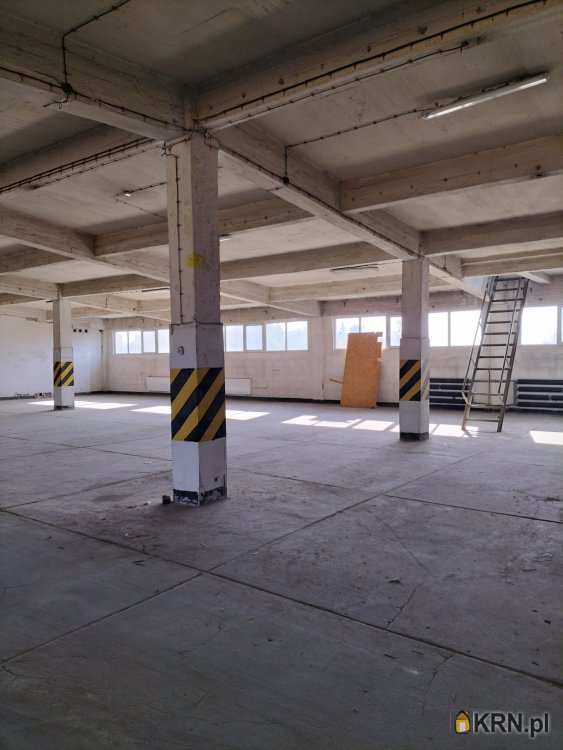 Lokal użytkowy  do wynajęcia, , Sosnowiec, Pogoń, ul. Ptasia