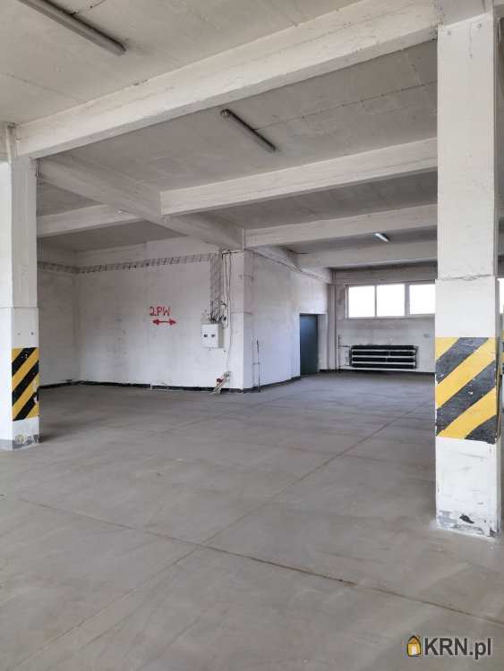 Sosnowiec, Pogoń, ul. Ptasia, Lokal użytkowy  do wynajęcia, 