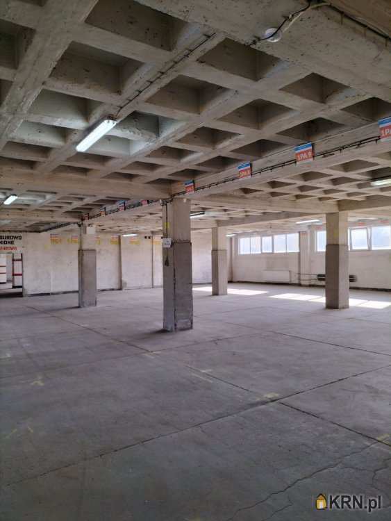 Lokal użytkowy  do wynajęcia, Sosnowiec, Pogoń, ul. Ptasia, 