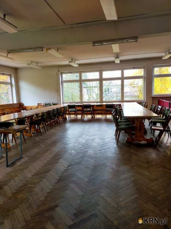 Zaborze, ul. , Lokal użytkowy  na sprzedaż, 
