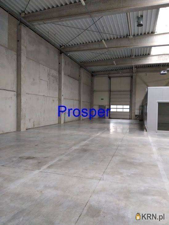 Lokal użytkowy  do wynajęcia, Katowice, ul. , 