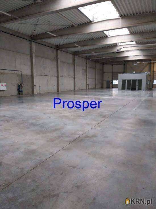 Lokal użytkowy  do wynajęcia, , Katowice, ul. 