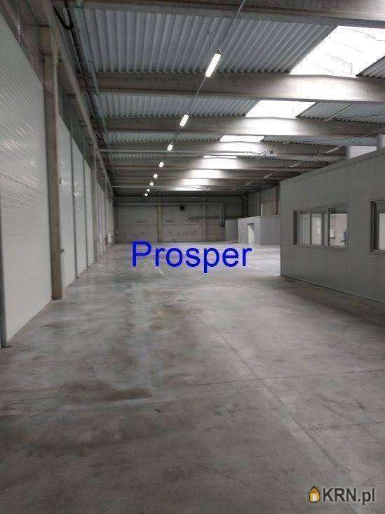 Katowice, ul. , Lokal użytkowy  do wynajęcia, 