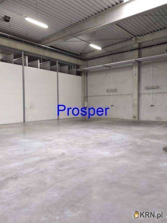 Katowice, ul. , , Lokal użytkowy  do wynajęcia