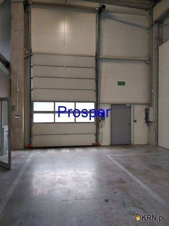 , Lokal użytkowy  do wynajęcia, Katowice, ul. 