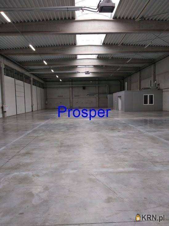 Prosper - Nieruchomości, Lokal użytkowy  do wynajęcia, Katowice, ul. 