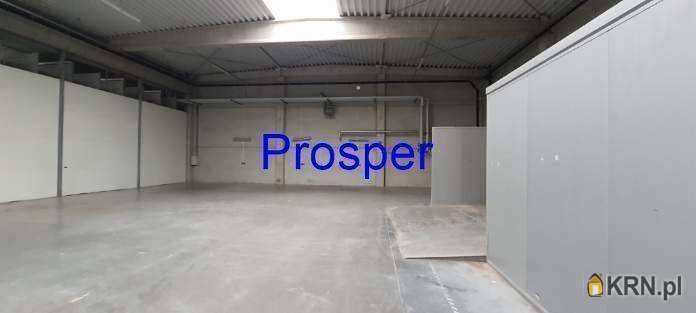 Katowice, ul. , Lokal użytkowy  do wynajęcia, 