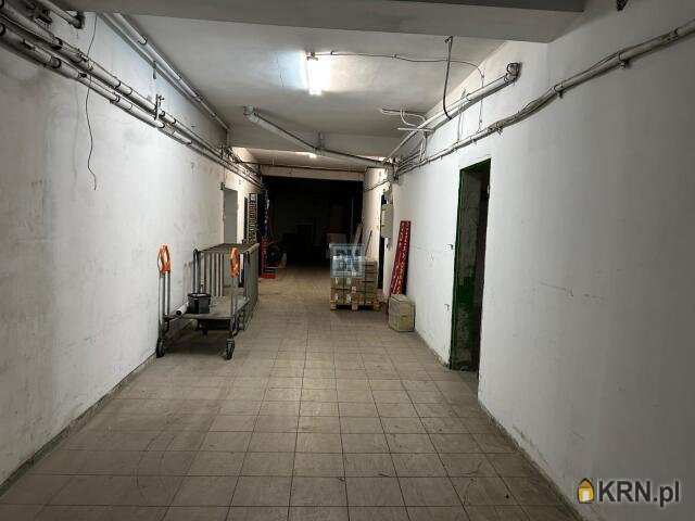 Lokal użytkowy  do wynajęcia, Bytom, ul. , 12 pokojowe