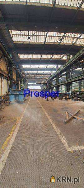 Lokal użytkowy  do wynajęcia, Chorzów, ul. , 