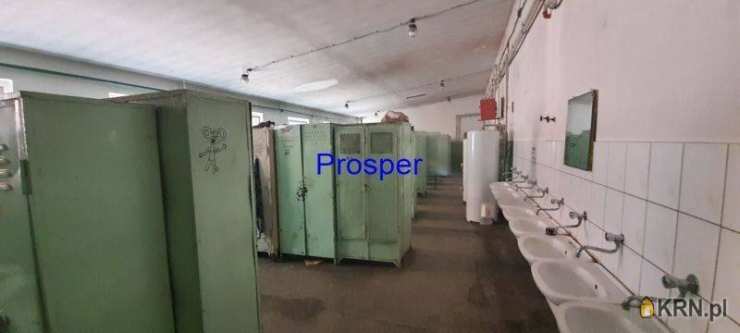 Lokal użytkowy  do wynajęcia, , Chorzów, ul. 