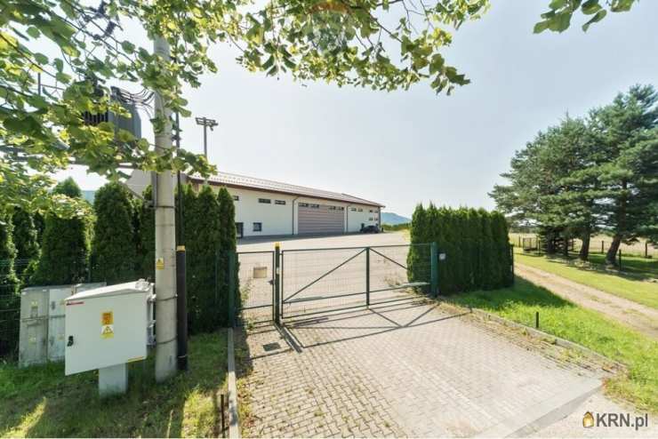 Lokal użytkowy  na sprzedaż, , Czaniec, ul. 