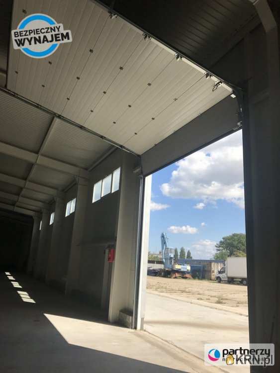 Gdańsk, Śródmieście, ul. Elbląska, Lokal użytkowy  do wynajęcia, 