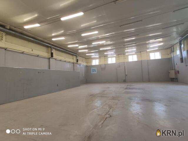 Lokal użytkowy  do wynajęcia, 6 pokojowe, Gliwice, ul. 