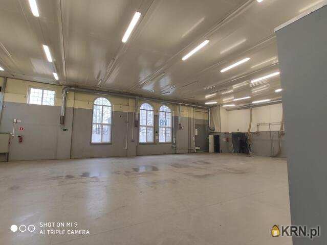 Gliwice, ul. , 6 pokojowe, Lokal użytkowy  do wynajęcia