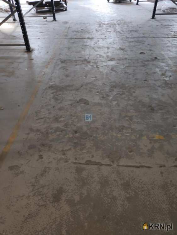 Lokal użytkowy  do wynajęcia, Gliwice, ul. , 6 pokojowe