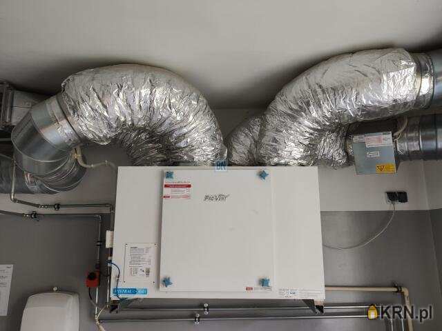 Gliwice, ul. , Lokal użytkowy  do wynajęcia, 6 pokojowe