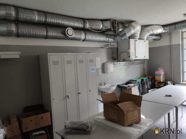 6 pokojowe, Gliwice, ul. , Lokal użytkowy  do wynajęcia