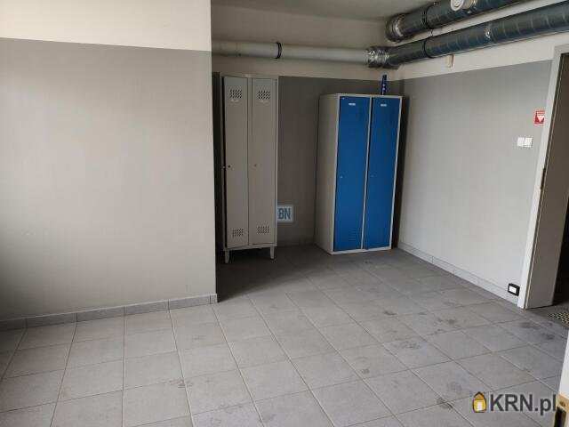 6 pokojowe, Lokal użytkowy  do wynajęcia, Gliwice, ul. 