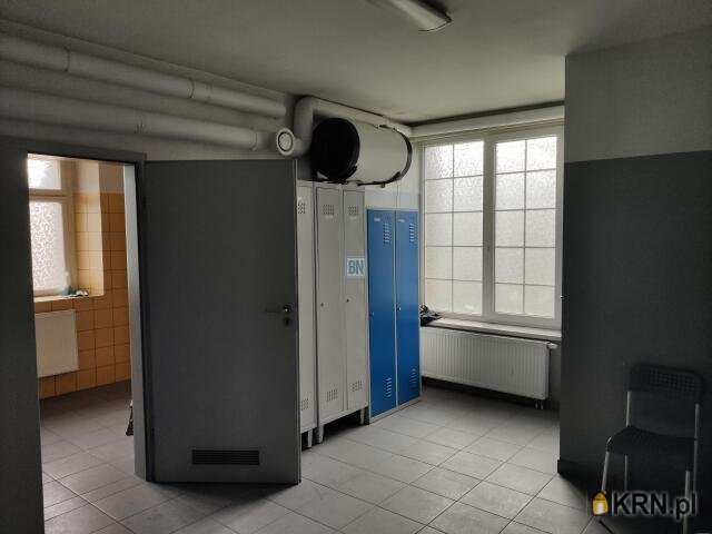 BN Nieruchomości, Lokal użytkowy  do wynajęcia, Gliwice, ul. 