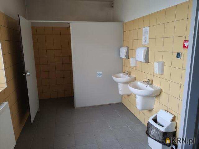 Lokal użytkowy  do wynajęcia, Gliwice, ul. , 6 pokojowe