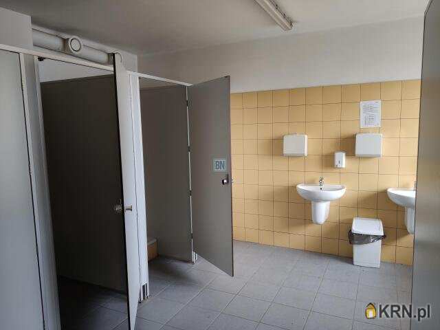 Lokal użytkowy  do wynajęcia, 6 pokojowe, Gliwice, ul. 