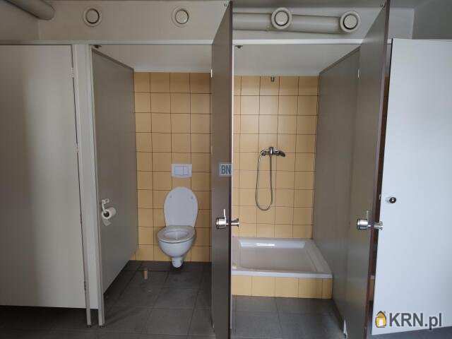 Gliwice, ul. , Lokal użytkowy  do wynajęcia, 6 pokojowe