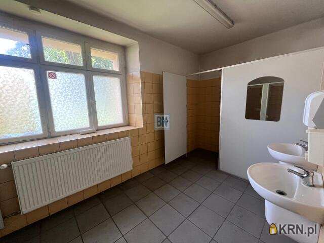 6 pokojowe, Gliwice, ul. , Lokal użytkowy  do wynajęcia