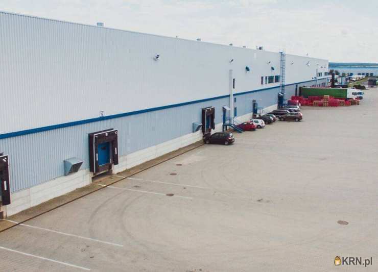 Lokal użytkowy  do wynajęcia, Stryków, ul. , 