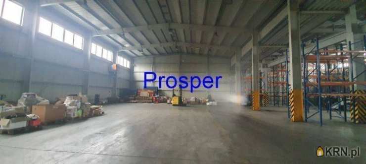 Lokal użytkowy  do wynajęcia, , Tychy, ul. 