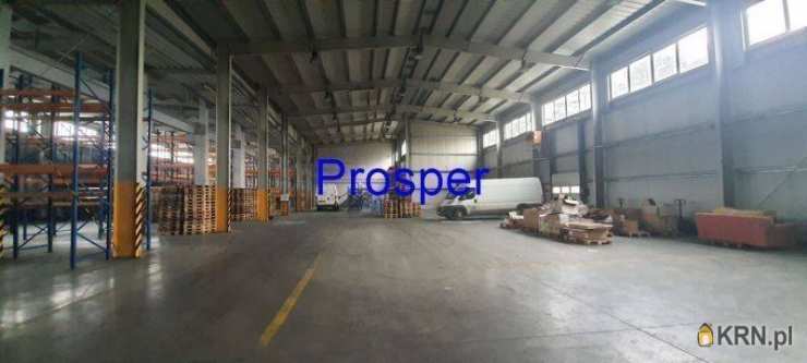 Tychy, ul. , Lokal użytkowy  do wynajęcia, 