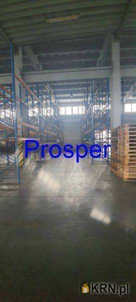 , Lokal użytkowy  do wynajęcia, Tychy, ul. 