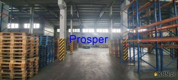 Prosper - Nieruchomości, Lokal użytkowy  do wynajęcia, Tychy, ul. 