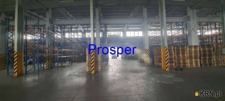 Lokal użytkowy  do wynajęcia, , Tychy, ul. 