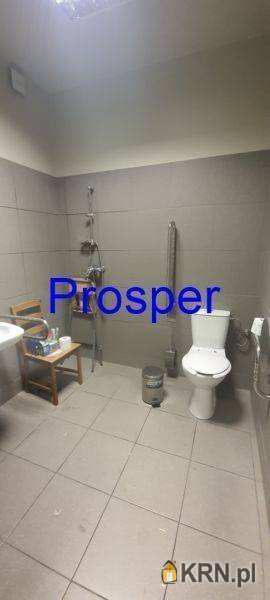 , Lokal użytkowy  do wynajęcia, Tychy, ul. 