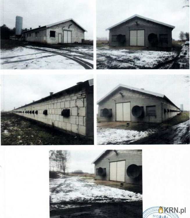 Lokal użytkowy  na sprzedaż, Kocewo, ul. , 