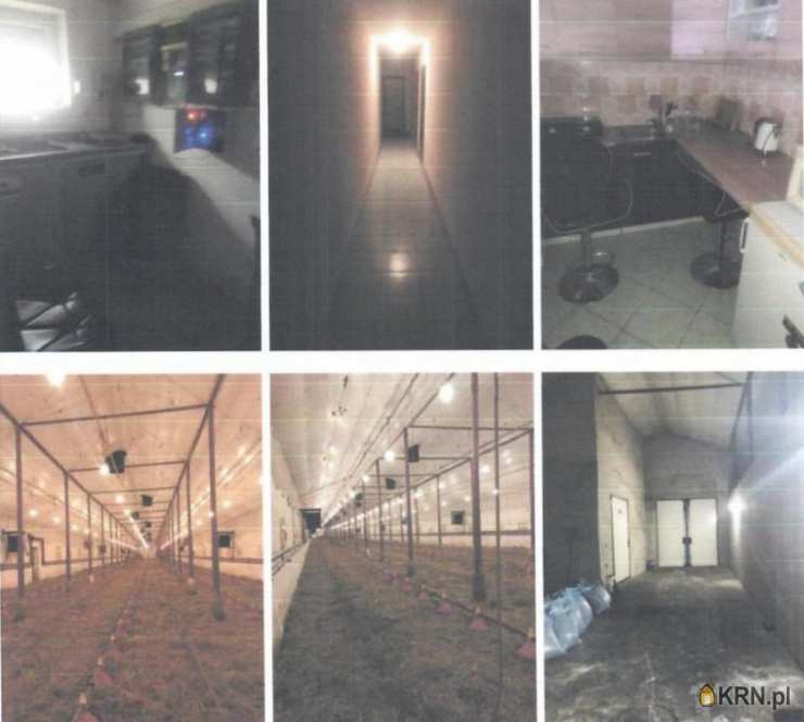 Lokal użytkowy  na sprzedaż, , Kocewo, ul. 