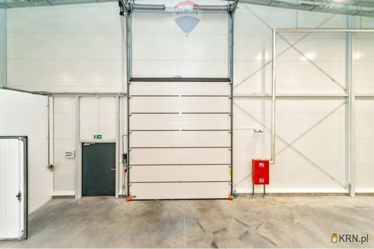 Lokal użytkowy  do wynajęcia, , Oświęcim, ul. 