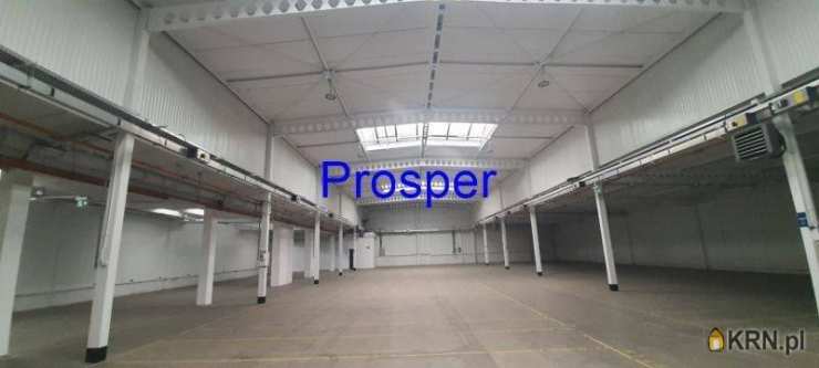 Lokal użytkowy  do wynajęcia, Katowice, ul. , 