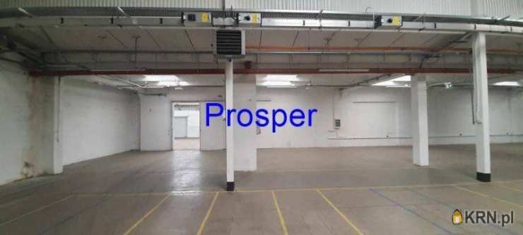 Lokal użytkowy  do wynajęcia, , Katowice, ul. 