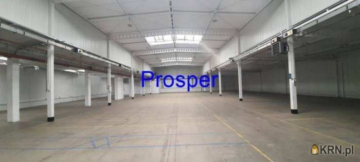 Katowice, ul. , Lokal użytkowy  do wynajęcia, 