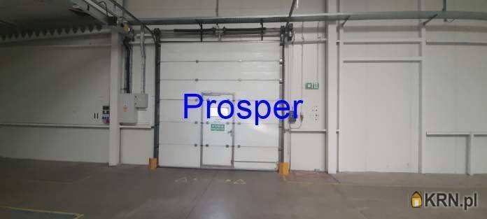 Katowice, ul. , , Lokal użytkowy  do wynajęcia