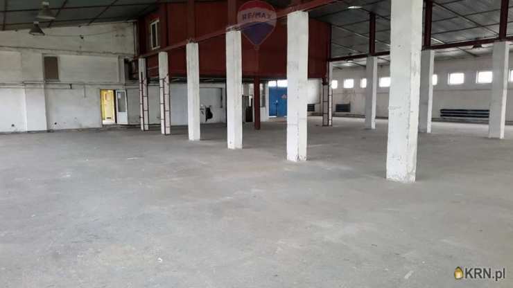 Lokal użytkowy  do wynajęcia, Malbork, ul. , 