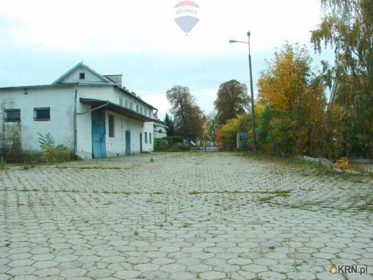 Malbork, ul. , Lokal użytkowy  do wynajęcia, 