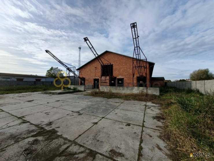 Lokal użytkowy  do wynajęcia, , Pakosław, ul. 