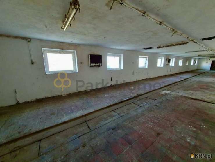 Park Home Sp. z o.o., Lokal użytkowy  do wynajęcia, Pakosław, ul. 