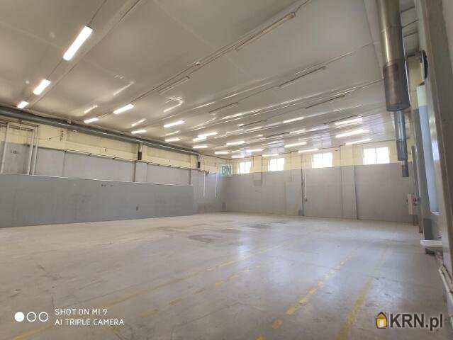 Lokal użytkowy  do wynajęcia, 6 pokojowe, Gliwice, ul. 