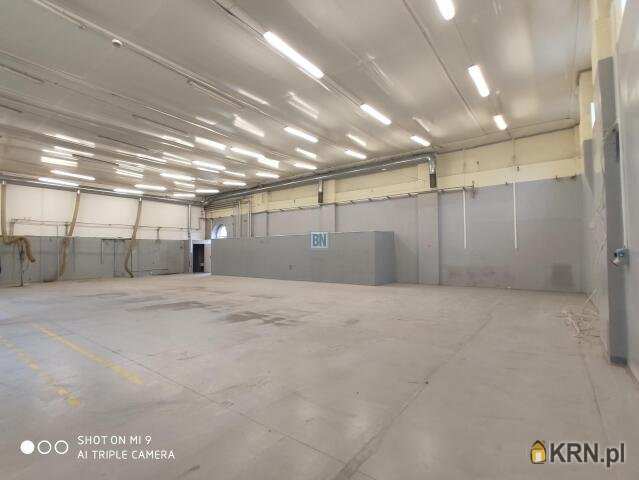 Gliwice, ul. , 6 pokojowe, Lokal użytkowy  do wynajęcia