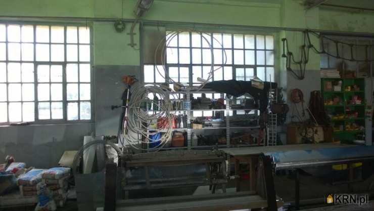 Lokal użytkowy  na sprzedaż, 7 pokojowe, Zabrze, ul. 